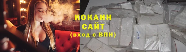 стафф Алзамай