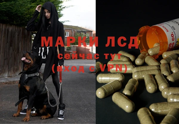 Альфа ПВП Армянск