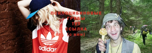 стафф Алзамай
