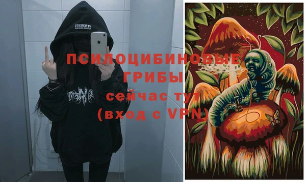 Альфа ПВП Армянск