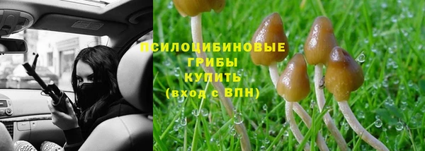 бутират Алексин