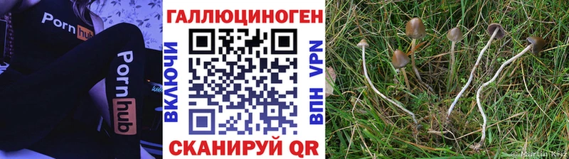 Псилоцибиновые грибы Magic Shrooms  наркота  Новошахтинск 